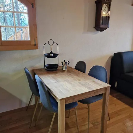 Alpine View Private Garden & Views Apartment *